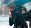 Погода в Туле 2 апреля: снег с дождём и до +10 градусов