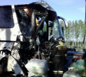 В Тульской области в ДТП с автобусом пострадали семь пассажиров
