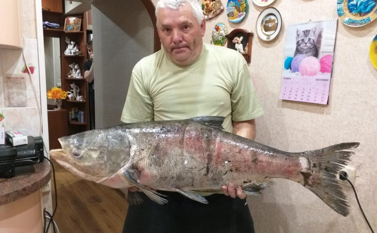 Тульский рыбак поймал 20-килограммового толстолобика
