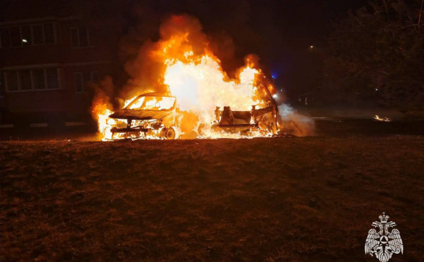 В Новомосковске ночью на улице Дружбы сгорели два автомобиля 