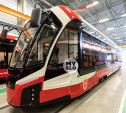 Как будут выглядеть новые тульские трамваи «Львята»: эксклюзивные фото новых вагонов