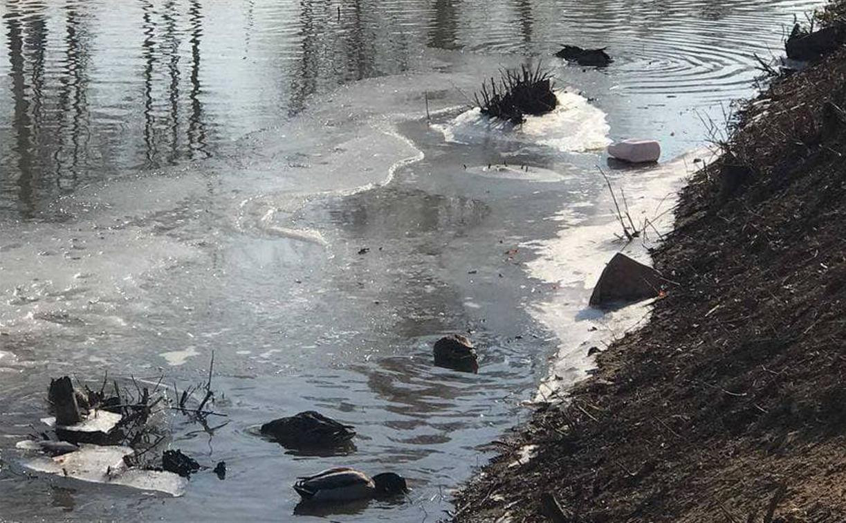 В Туле по соседству с Ледовым дворцом загрязняют реку Рогожню