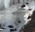 В Туле по соседству с Ледовым дворцом загрязняют реку Рогожню