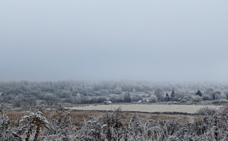 Жизнь Тулы и области