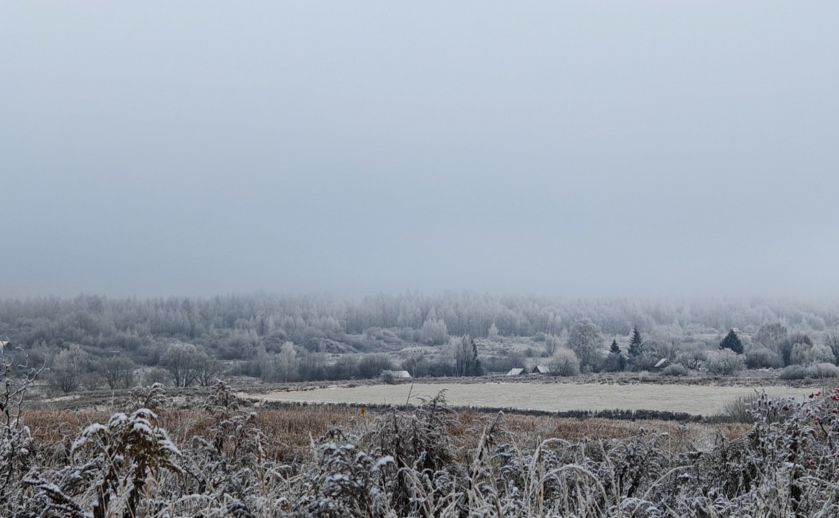 Синоптики рассказали, когда в Тульской области ляжет снег