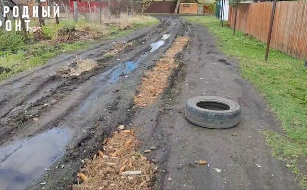 Шишками и камнями «починили» дорогу к детскому саду жители поселка Новольвовского