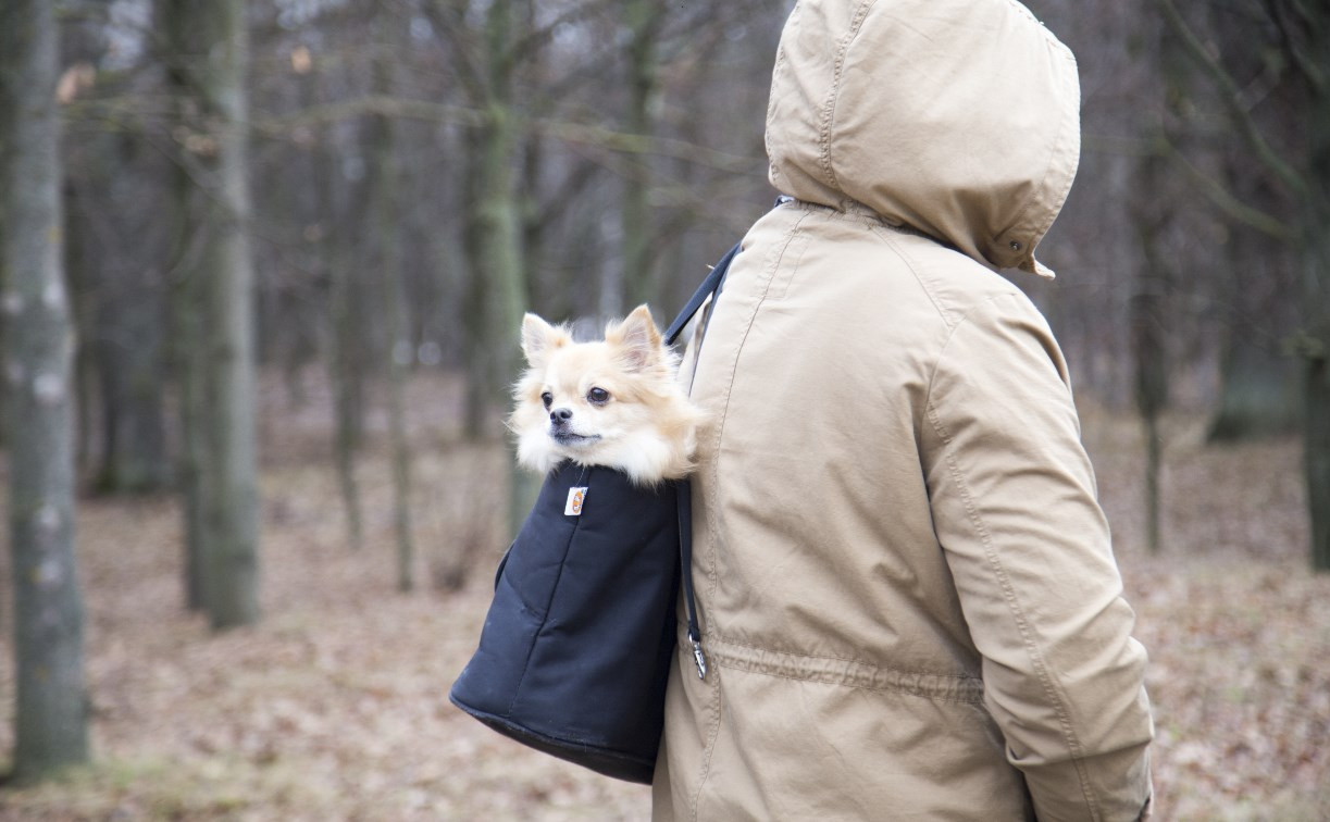 В Центральном парке прошел рейд по незаконному выгулу собак