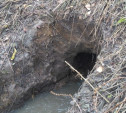Стройка на берегу пруда в Тульской области: кто-то разрыл плотину, чтобы спустить водоем?
