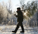 В Госдуме предложили разрешить россиянам самостоятельно рубить ёлки к Новому году