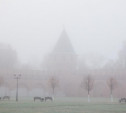 Метеопредупреждение: ночью и утром Тулу окутает густой туман