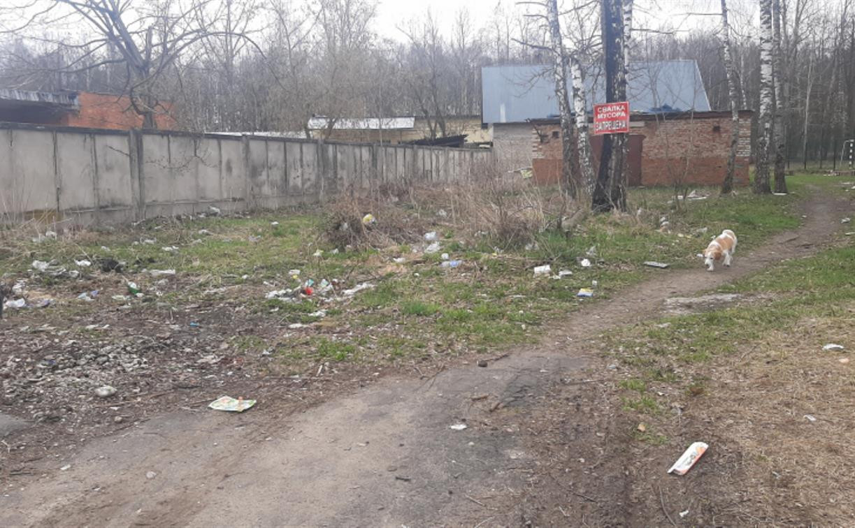 Здравница утопает в мусоре: активисты ОНФ возмущены состоянием поселка Краинка