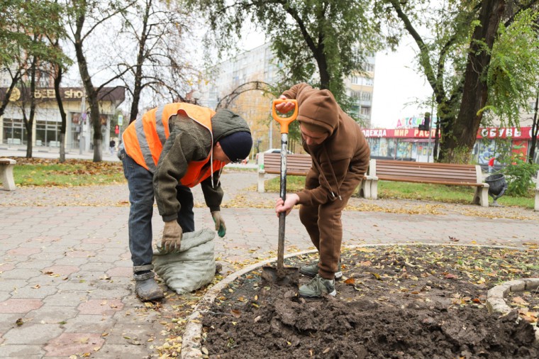 В начале ноября в Туле на участках веломаршрута «Лев Толстой» высадят более 300 деревьев