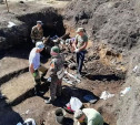 В Тульской области поисковики обнаружили останки 122 солдат