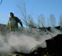 В Арсеньевском районе сгорел дом и сарай 