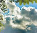 Погода в Туле 20 мая: облачно с прояснениями и до 20 тепла