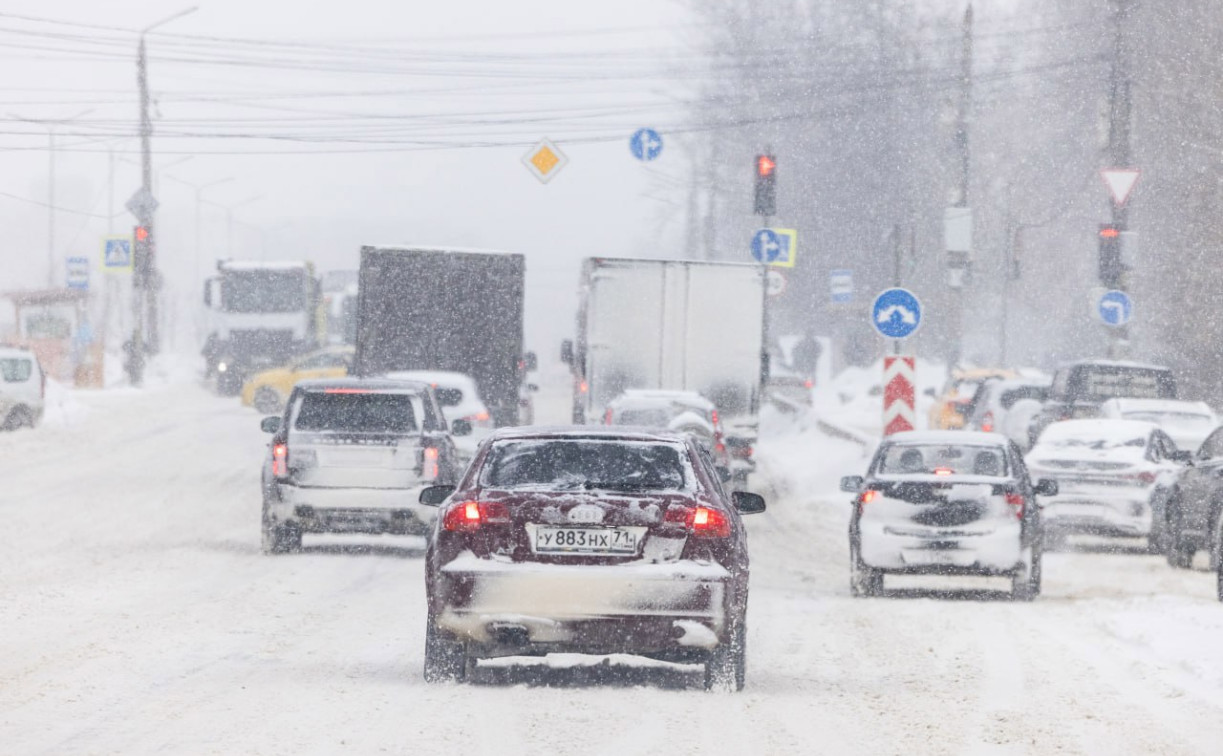 Снегопад с сильной метелью: тульские синоптики дали прогноз до конца недели