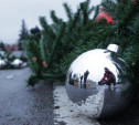 16-летний щёкинец украл новогодний шар с городской ёлки