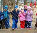 «К 1 января 2016 года в регионе не должно быть очереди в детские сады», - Владимир Груздев