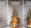 Эксперимент: МЧС показало на видео, как быстро горят новогодние ёлки 