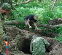 В лесу под Белёвом поисковики обнаружили останки двух красноармейцев