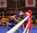Три тульских боксера продолжают борьбу за звание чемпиона страны