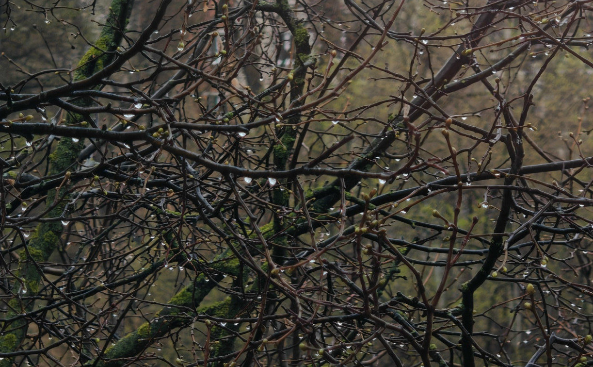 Циклон «Ксимена» уходи: когда закончатся холод и дожди в Тульской области?