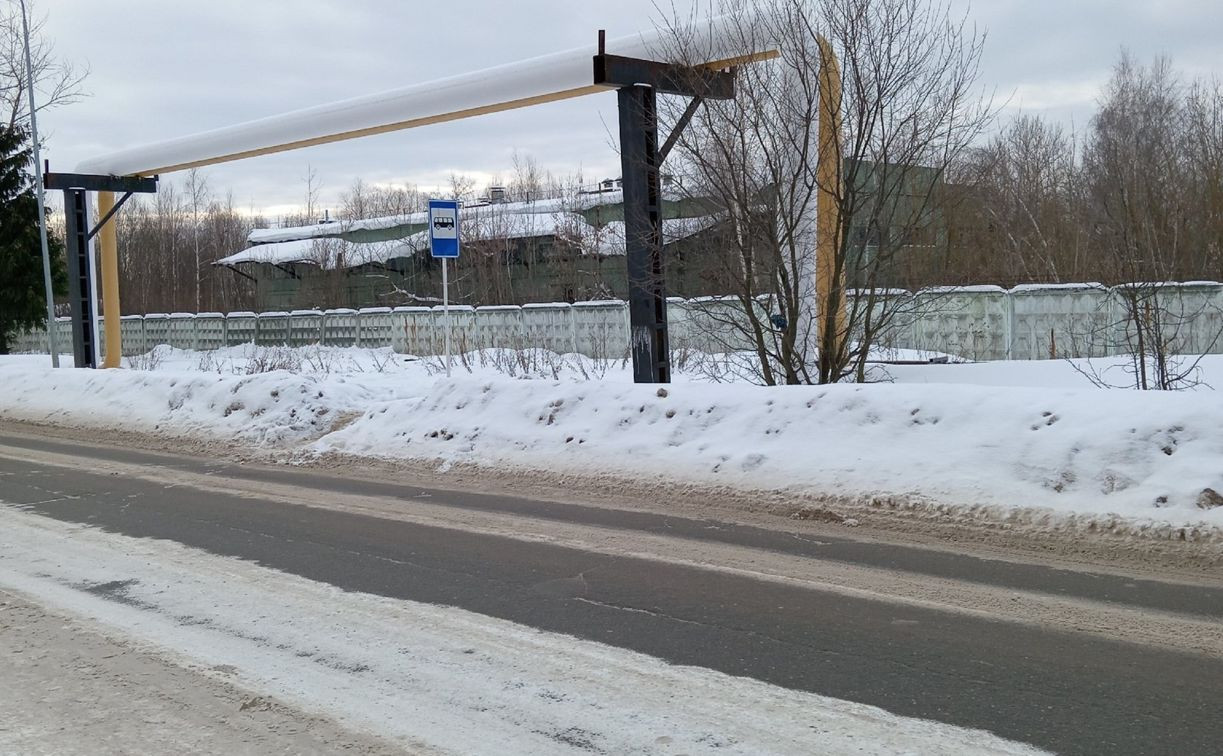 «Из автобуса выходим в сугроб»: жители Алексина просят убраться на остановках