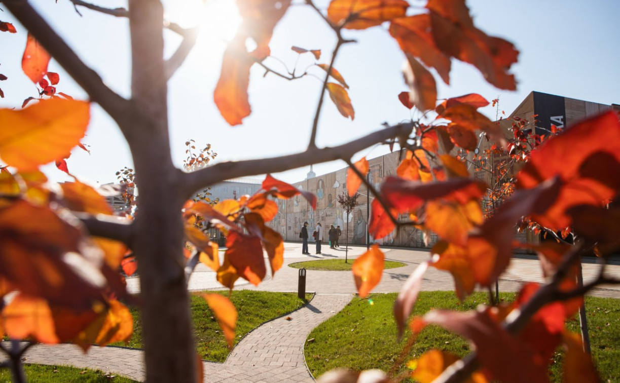 Синоптик Вильфанд: начало осени будет вполне теплым