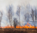 В Тульской области официально завершился пожароопасный сезон