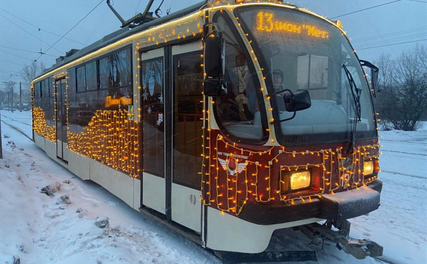 В новогоднюю ночь в Туле проезд в общественном транспорте будет стоить 35 рублей