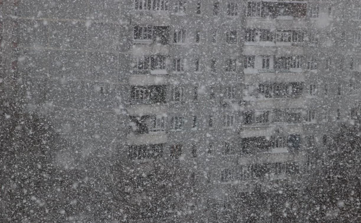 Погода в Туле 11 февраля: снежно, мокро и до +3 градусов
