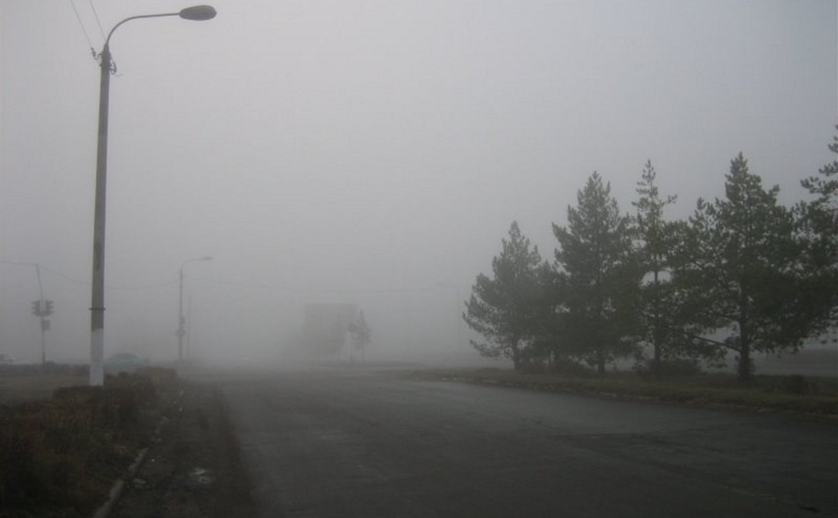 Погода в Туле 17 июля: туман, кратковременный дождь и похолодание