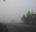Погода в Туле 17 июля: туман, кратковременный дождь и похолодание