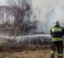 За выходные тульские пожарные более 200 раз выезжали на тушение сухой травы
