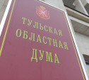 В этом году в Тульской области пройдут довыборы в областную и городскую Думы
