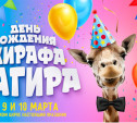 Тульский цирк отмечает день рождения африканского жирафа Багира