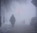 Погода в Туле 29 января: облачно, туманно и без осадков