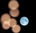 Над Тулой взошла Голубая Луна: фоторепортаж