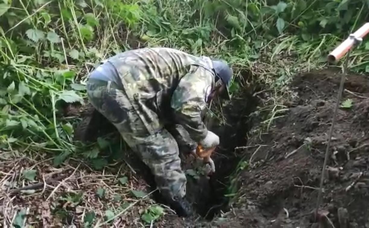 В Тульской области обнаружена братская могила 29 красноармейцев