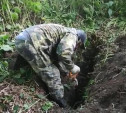 В Тульской области обнаружена братская могила 29 красноармейцев
