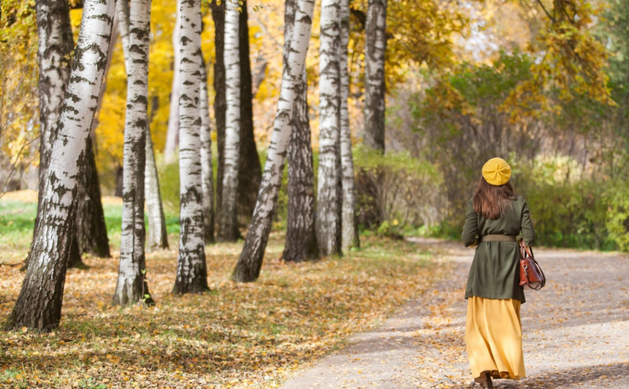 Тепло и много солнца: синоптик Вильфанд сделал прогноз на предстоящую неделю