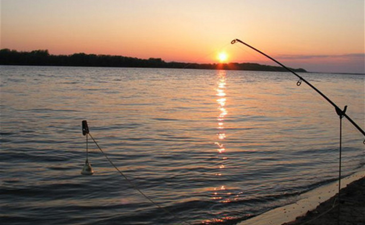 Туляк заплатит штраф за нарушение правил рыбной ловли в Астраханской области