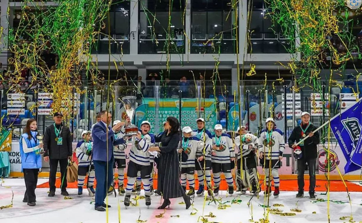 Участники Детского Кубка Тульской области по дворовому хоккею получат 1 млн рублей 