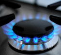 Пять тульских предприятий отключены от газоснабжения из-за долгов