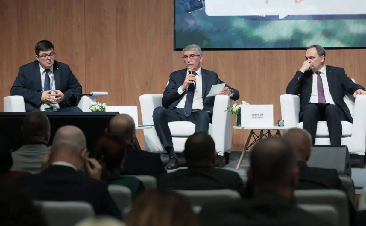 Дмитрий Миляев об участии жителей в благоустройстве: «Осчастливить против желания – нельзя»