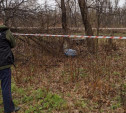 В Тульской области около остановки найдено расчленённое тело в пакете