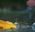 Погода в Туле 30 октября: дождливо и ветрено