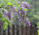 Погода в Туле 16 мая: облачно, ветрено и дождливо