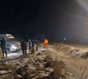 В Тульской области мужчина и пятилетняя девочка провалились под лед водохранилища