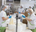 На Узловском молочном комбинате оптимизировали производство творога 